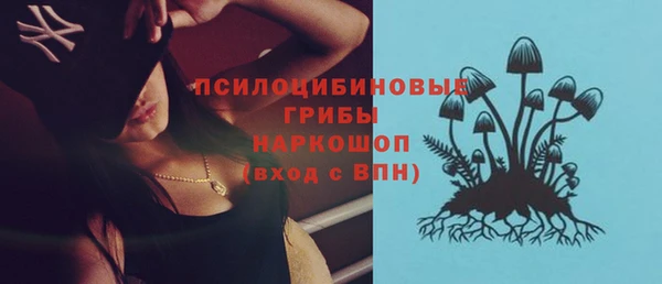 ешки Алзамай