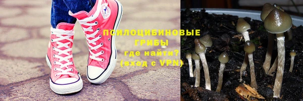 гидропоника Алексеевка