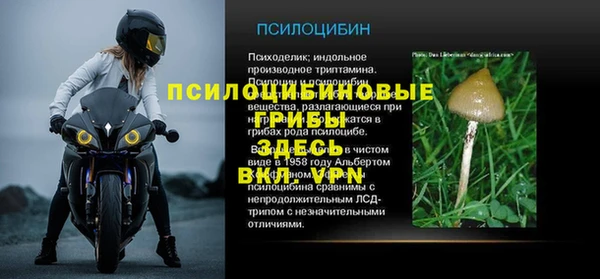 ешки Алзамай